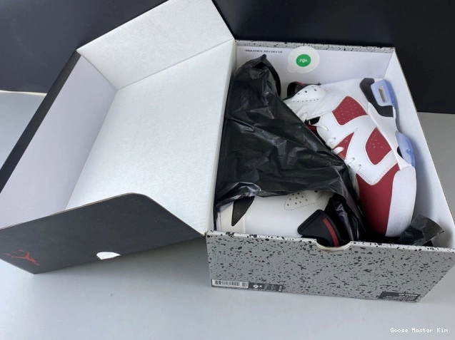 6 'CARMINE' 2014 384664-160 JORDAN RETRO AIR 0628